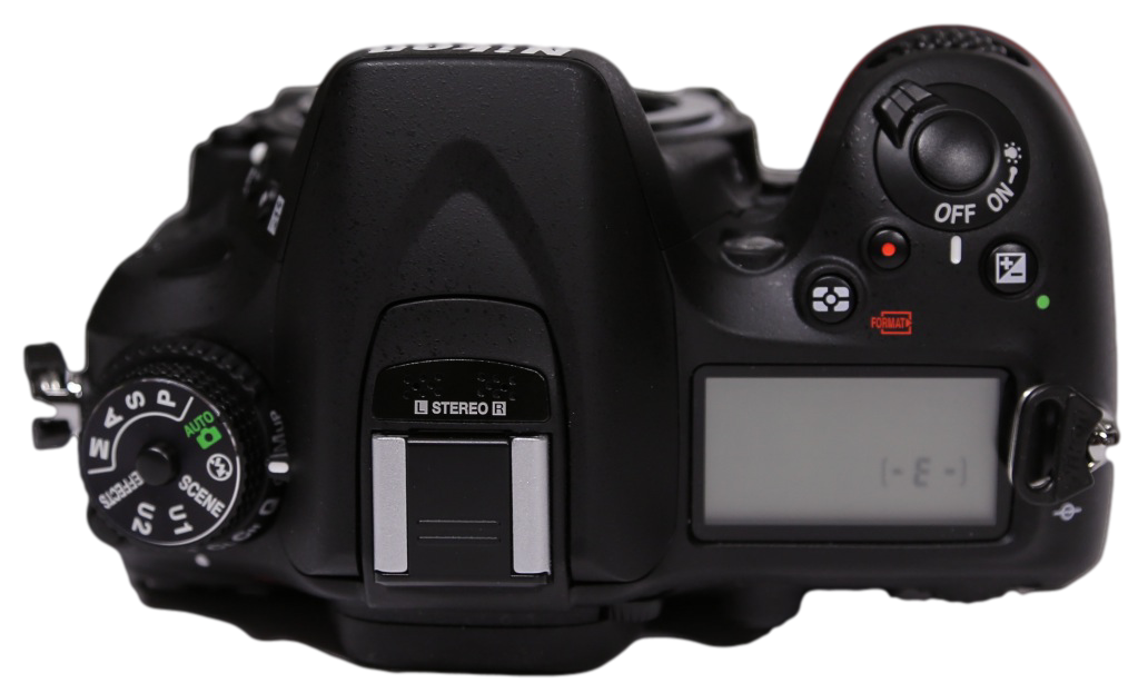 Nikon D7100 DSLR User Review - A Bug's Eye View Of A Great DSLR 