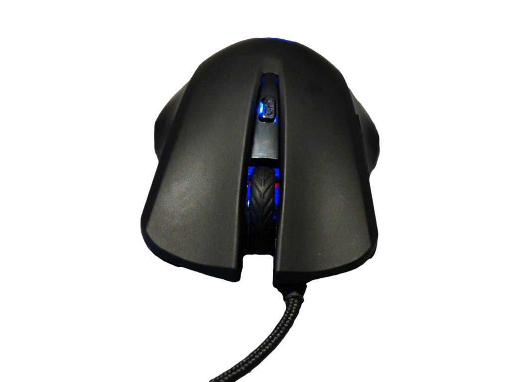 DSC00075_Fotor_clipped_rev_1