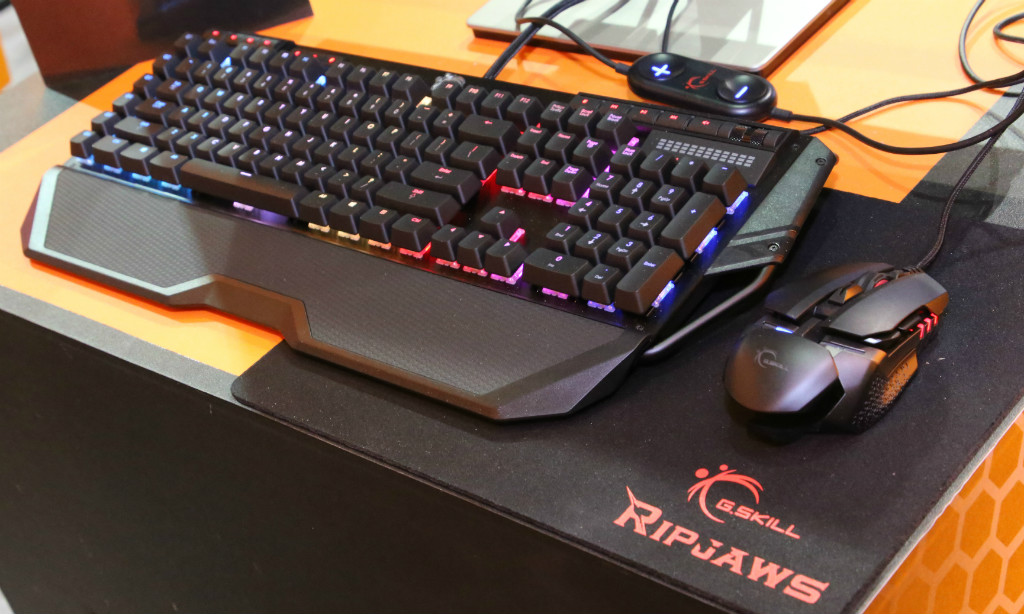RGB GSKILL Keyboard and Mouse