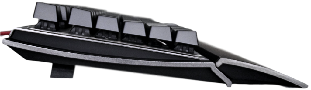 DSC00783_Fotor_clipped_rev_2