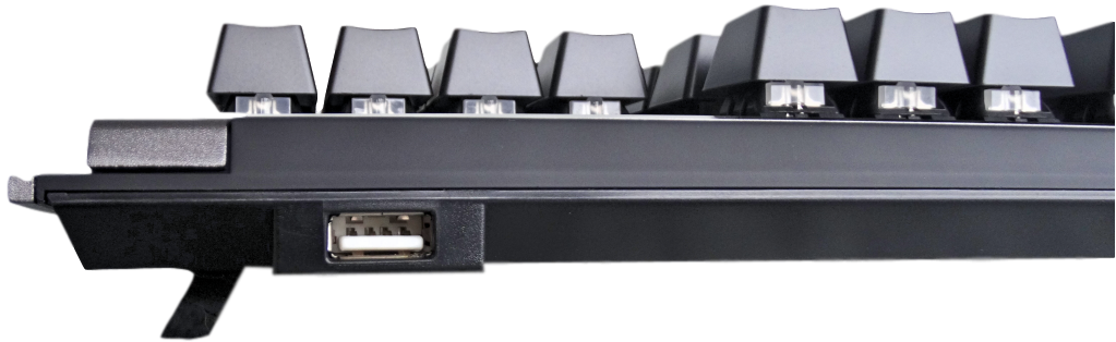 DSC00789_Fotor_clipped_rev_2