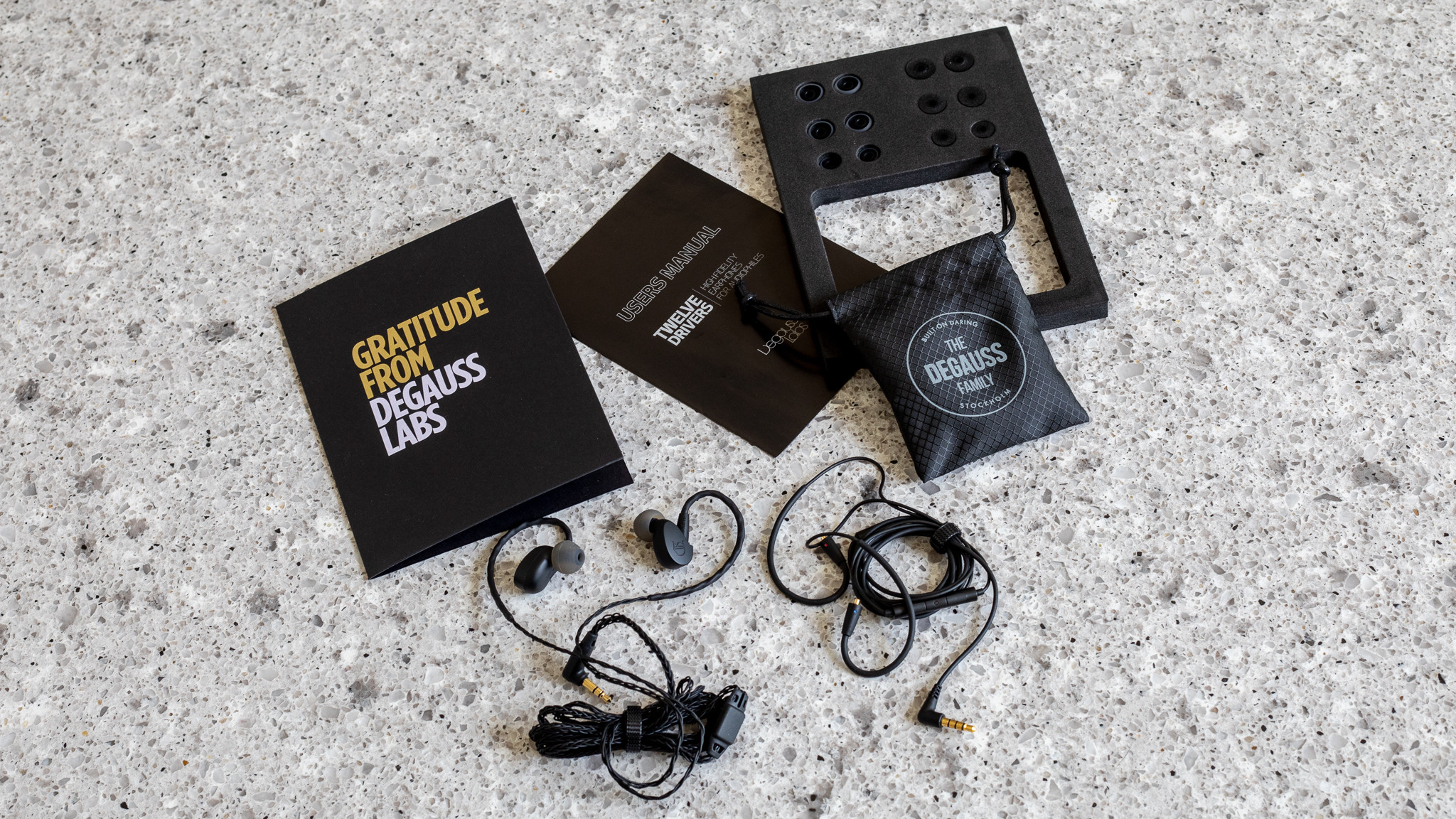 Degauss Labs Twelve Drivers InEar Monitors As Pure As It Gets Technology X